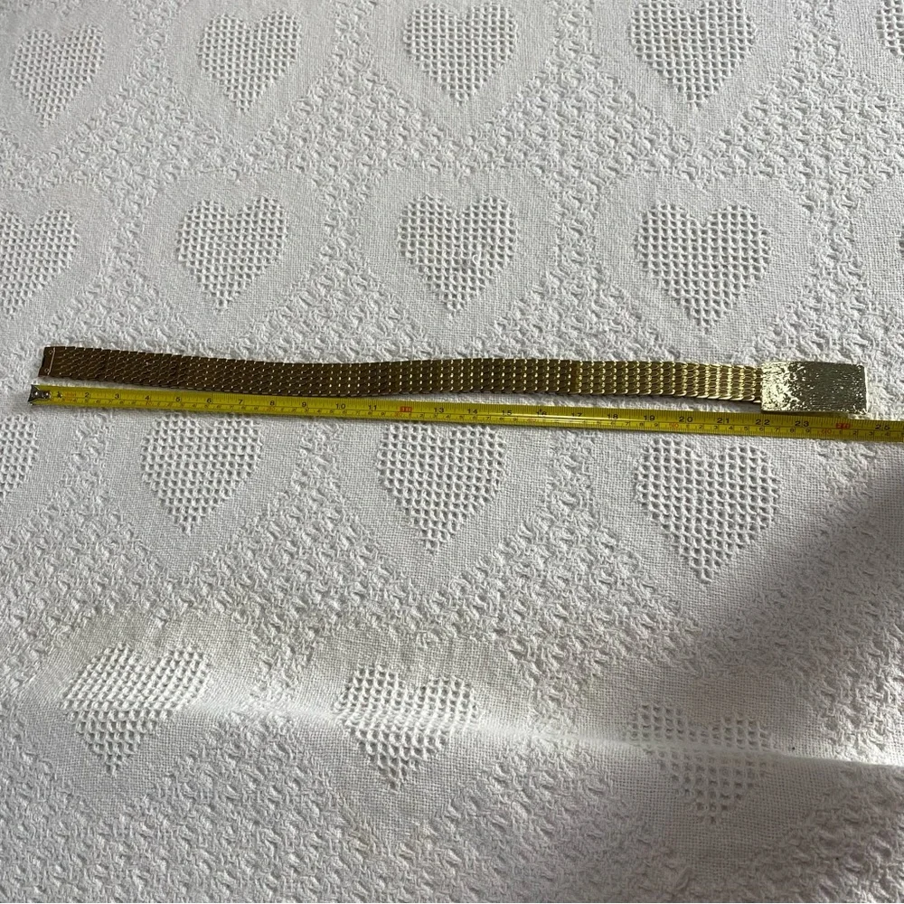 Vintage Scaley Belt